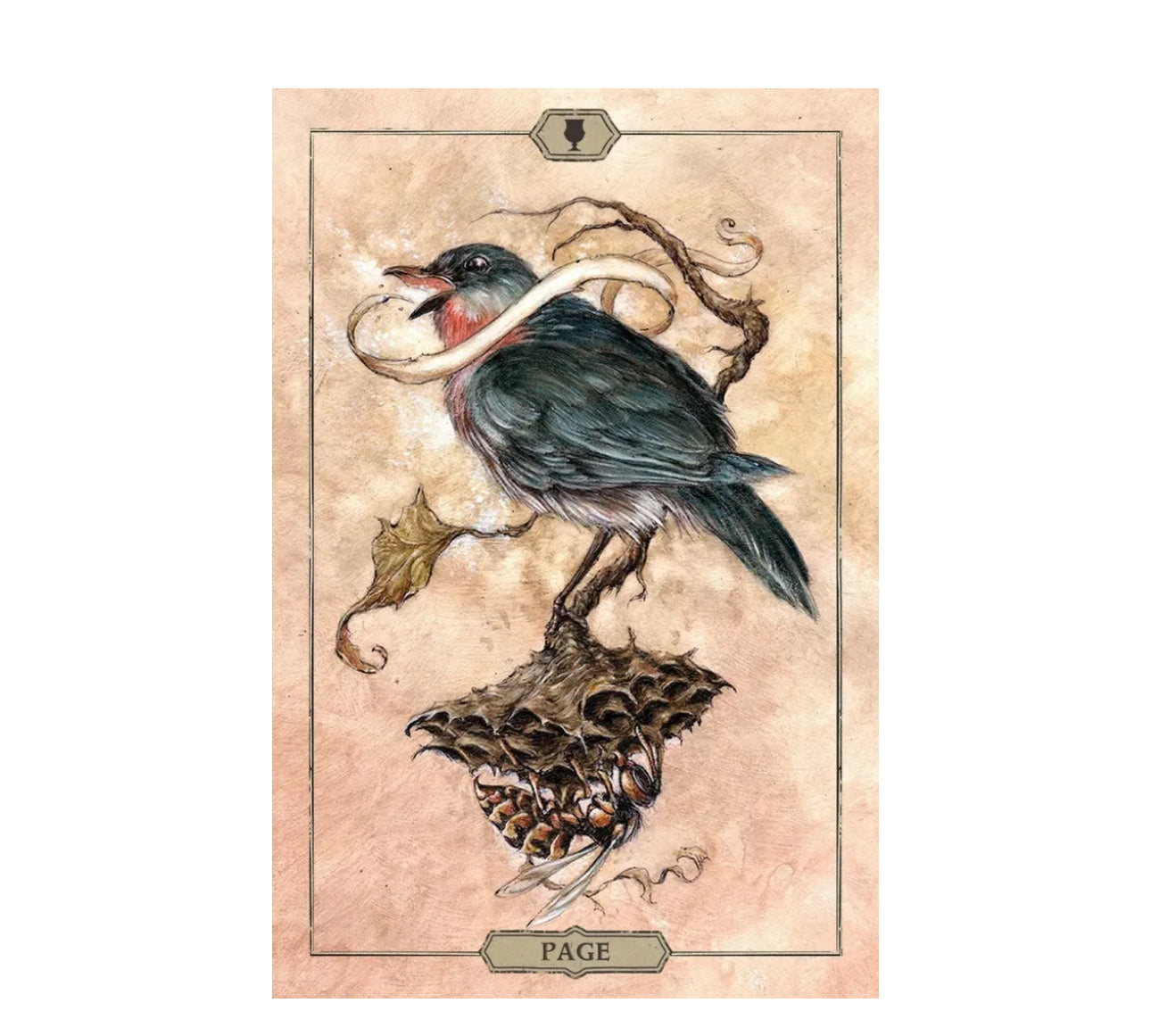 Hush Tarot